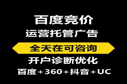 竞价广告的投放策略与效果评估——以一成功企业为例